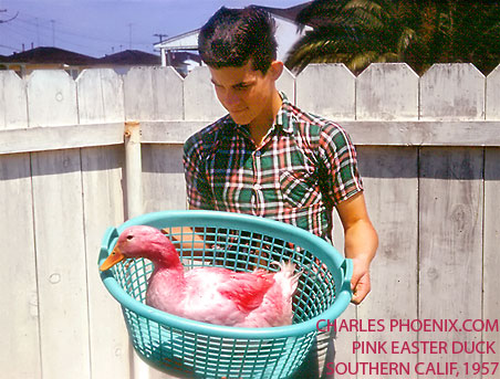 pink easter duck