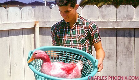 Charles Phoenix's Slide of the Week: The Pink Easter Duck, Southern California, 1957